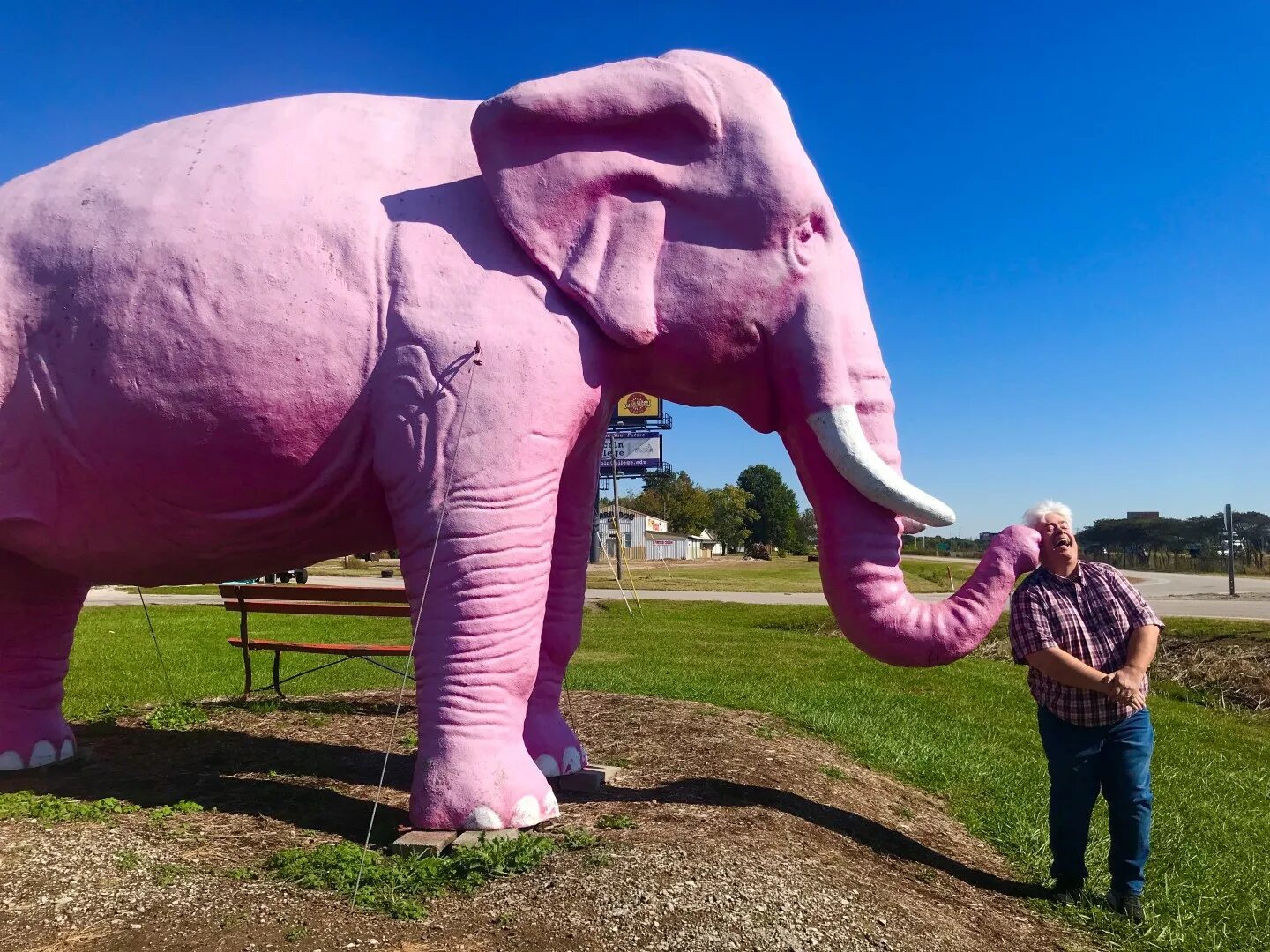 Пинк Елепхант. Pink Elephant Antique Mall. Dumbo Pink Elephants.