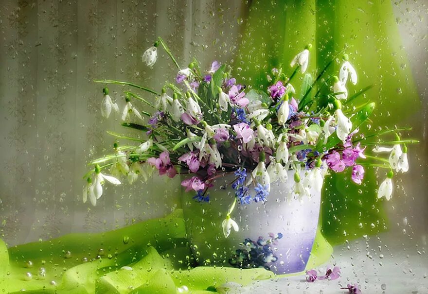 цветок "колокольчик". цветы на окне. натюрморт с фиалками. нежный звон колокольчико. весеннее настроение.