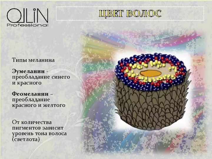 Эумеланин и феомеланин. Меланин цвет волос. Меланин цвет волос. Пигменты меланина в волосах. Цвет меланина.
