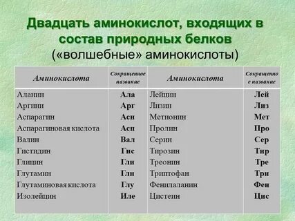 В состав белков входят разных аминокислот