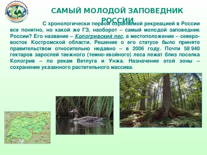 Мордовский заповедник темников. Заповедник национальный парк. Заповедники мордовии список. Заповедники мордовии список. Какие заповедники национальные парки есть в мордовии.