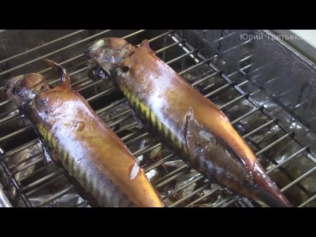 рыба горячего копчения скумбрия. рыба горячего копчения скумбрия. копченая скумбрия горячего копчения. скумбрия холодного копчения в коптильне. скумбрия холодного копчения в коптильне.