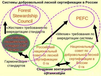 Национальная система лесной сертификации