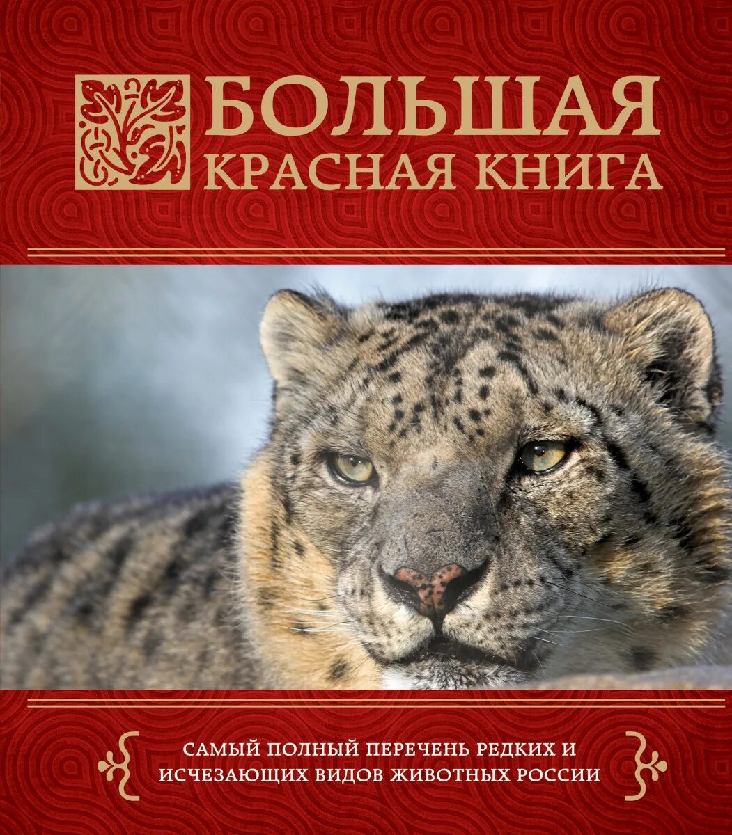 Красная книга российс. Международная красная книга. Животные из красной книги. Красная книга ой. Красная книга ой.