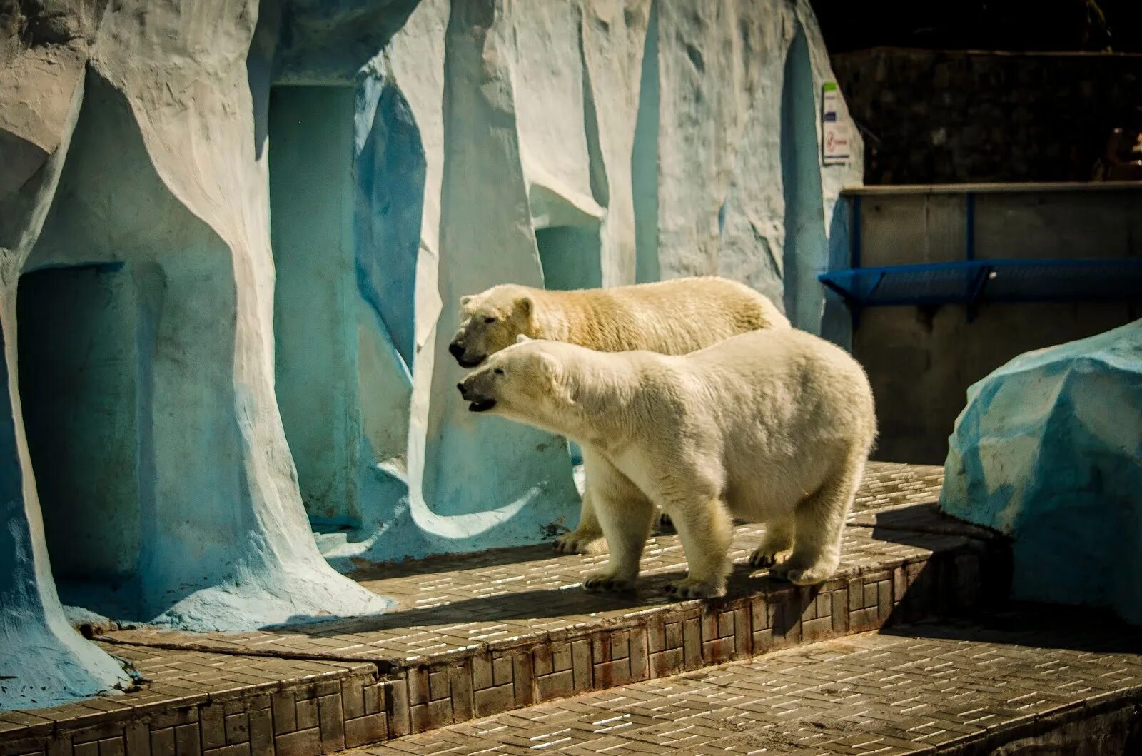 Посетив зоопарк мной были сделаны фотографии животных. Новосибирский зоопарк Новосибирск. Достопримечательности Новосибирска зоопарк. Ворота зоопарка Новосибирск. Животные Новосибирского зоопарка.