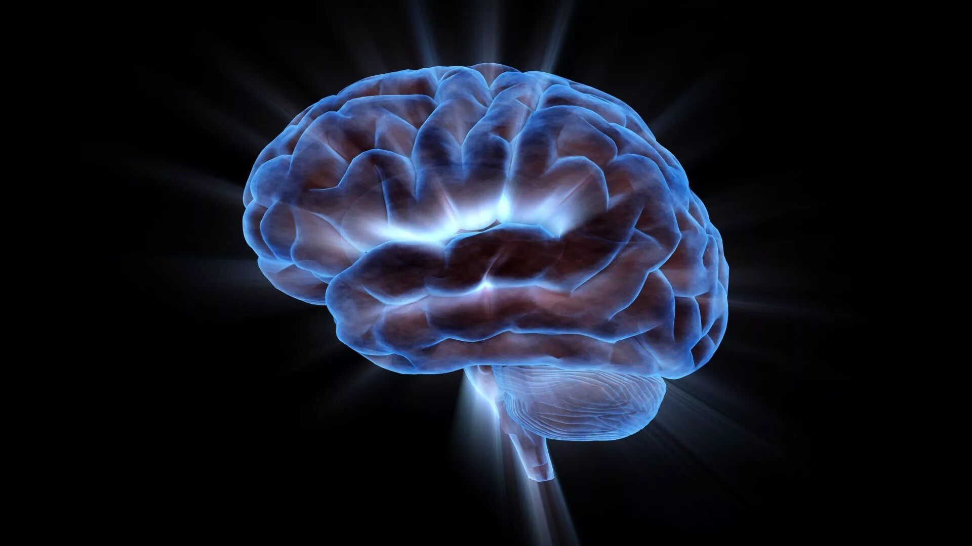 Видео про мозг. Мозг арт. Визуализация мозга. Крутой мозг.