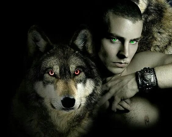kingdom keeper shape shifter Espírito de lobo, Cães bonitos, Ideias para retrato