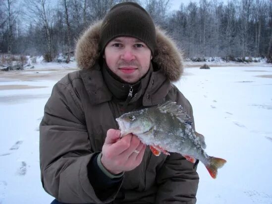 рыбы архангельской области. санататур. рыбалка в архангельске форум. борские озера рыбалка. санататур.