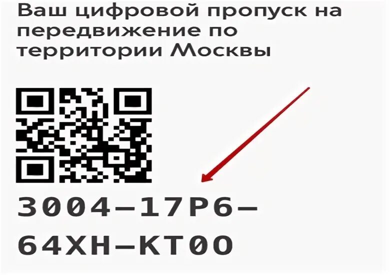 Получить цифр пропуск. Как ип оформить цифровой пропуск. печать для пропусков с цифрами. в школу внутренний пропуск для сотрудников. как пользоваться пропуском в хру.