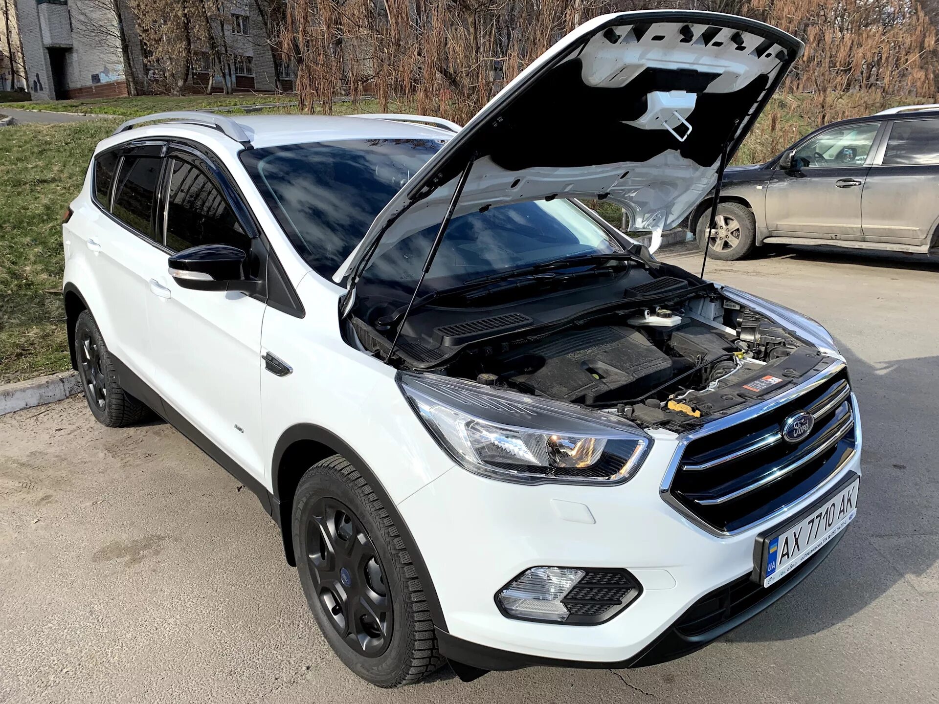 Сборка куга. Куга 2. Капот Форд Куга 2. Ford Kuga 2 Restyling. Упоры капота Форд Куга 2.