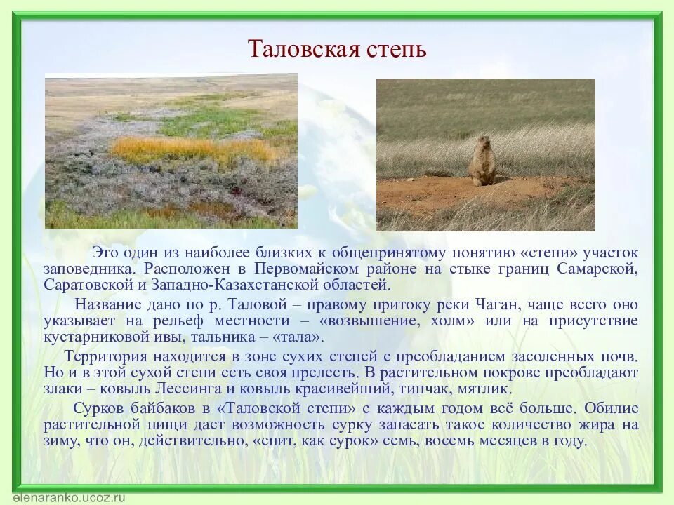 Сообщение на тему степь. Оренбургский заповедник таловская степь. заповедники оренбургской области таловская степь. заповедник таловская степь первомайский район оренбургская область. буртинская степь оренбургской области заповедник.