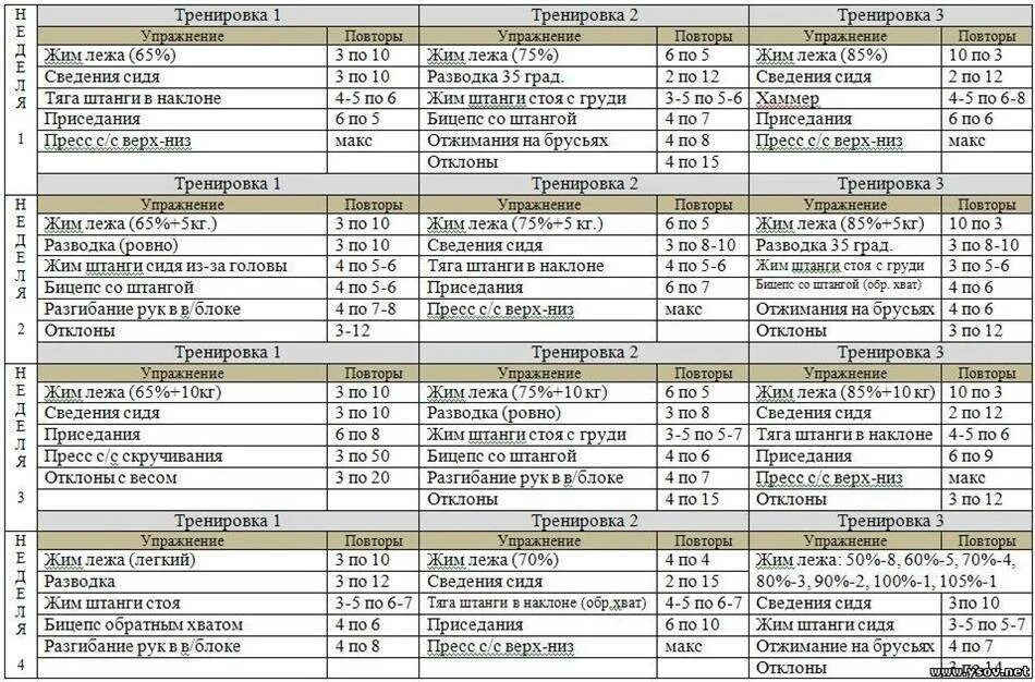 Программа тренировок в тренажерном зале для начинающих мужчин. Тренировочный план в тренажерном зале для мужчин. Программа тренировок в тренажерном зале для мужчин 2/2. Готовые планы тренировок для похудения в тренажерном зале.