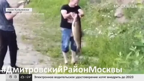 Поймали в парке