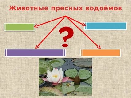 Минеральный источник пресный водоем или нет
