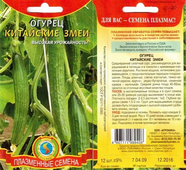 Огурцы китайский змей описание сорта фото отзывы Огурцы китайские дачница Наташа Дзен