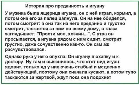 Взрослые мужики рассказы