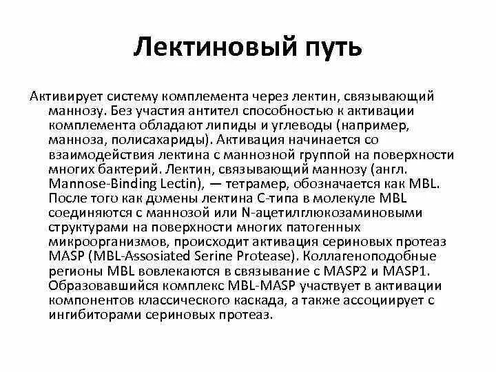 Комплимент функции. Маннозосвязывающий лектин. лектиновый путь активации системы комплемента. маннозосвязывающий белок. функции комплимента.