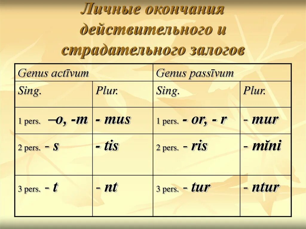 Какие окончания в будущем времени. Личные окончания действительного и страдательного залога.. Личные окончания. Назовите личные окончания действительного и страдательного залогов.. Личное окончание действительного и страдательного залога латынь.