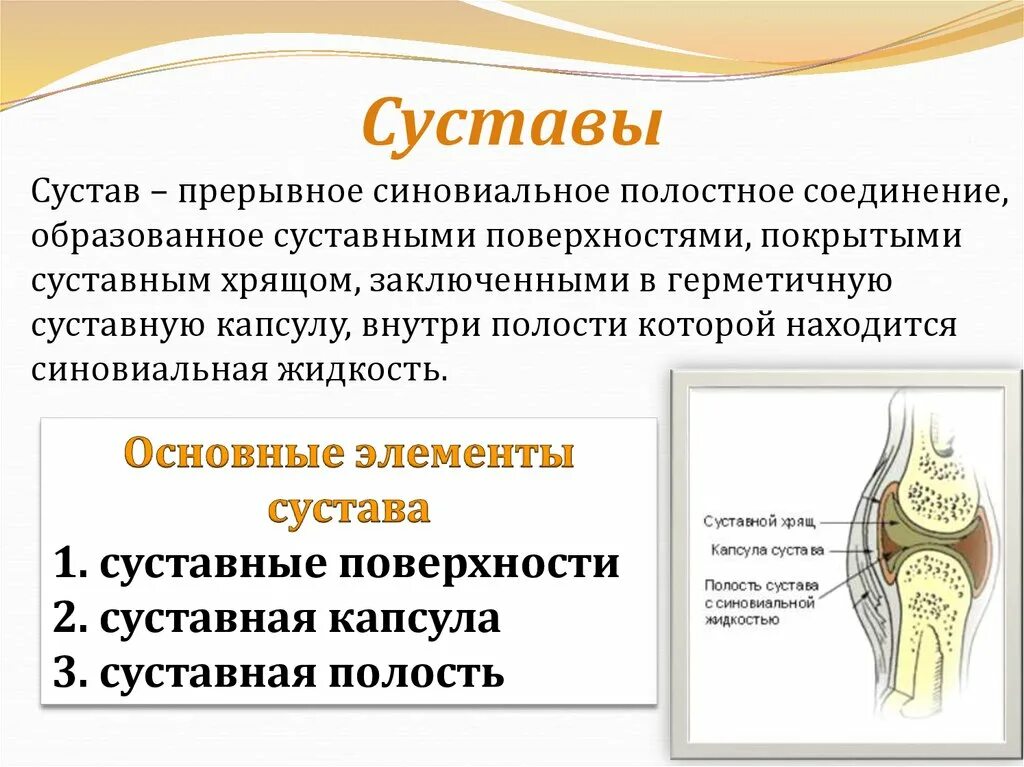 Соединение образующее
