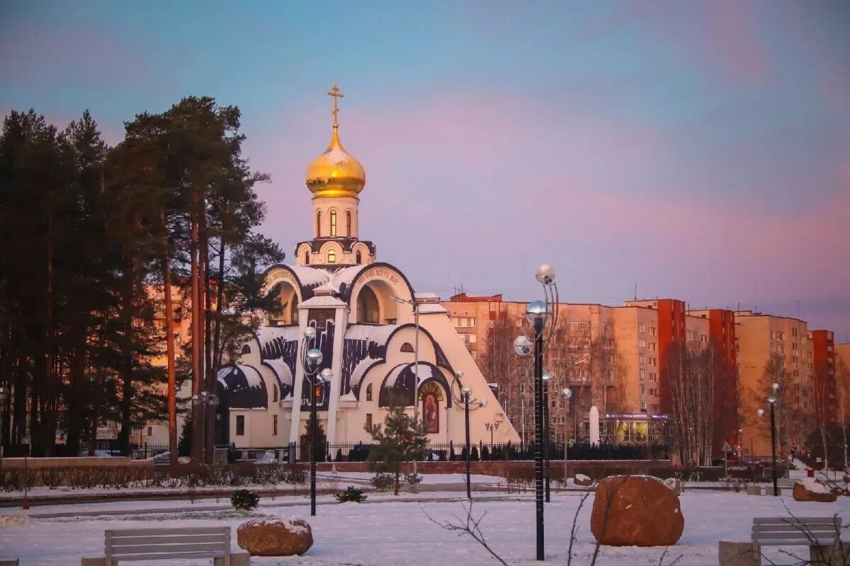 Цветы сосновый бор ленинградская. Сосновый Бор Ленинградская область. Город Сосновый Бор Ленинградская область. Сосновый Бор Ленинградская. Сосновый Бор Ленинградская область фото.