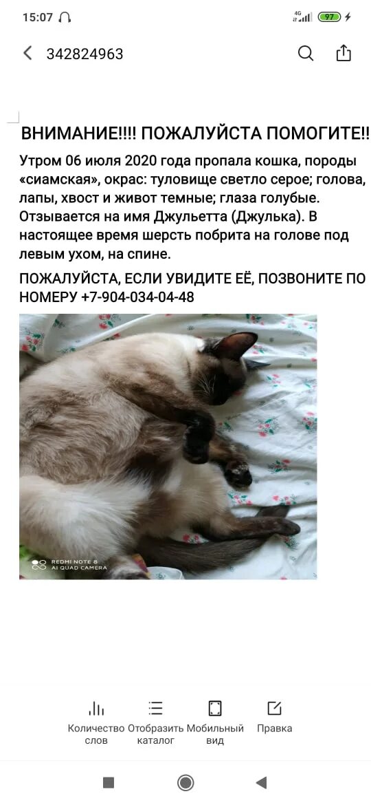 Способы найти кошку