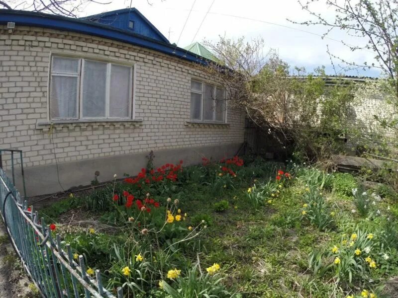 Дом в Черкесске. Черкесск улица Дачная. Улица Чехова 28 в Черкесске. Куп дом без посредников в г Черкесске.