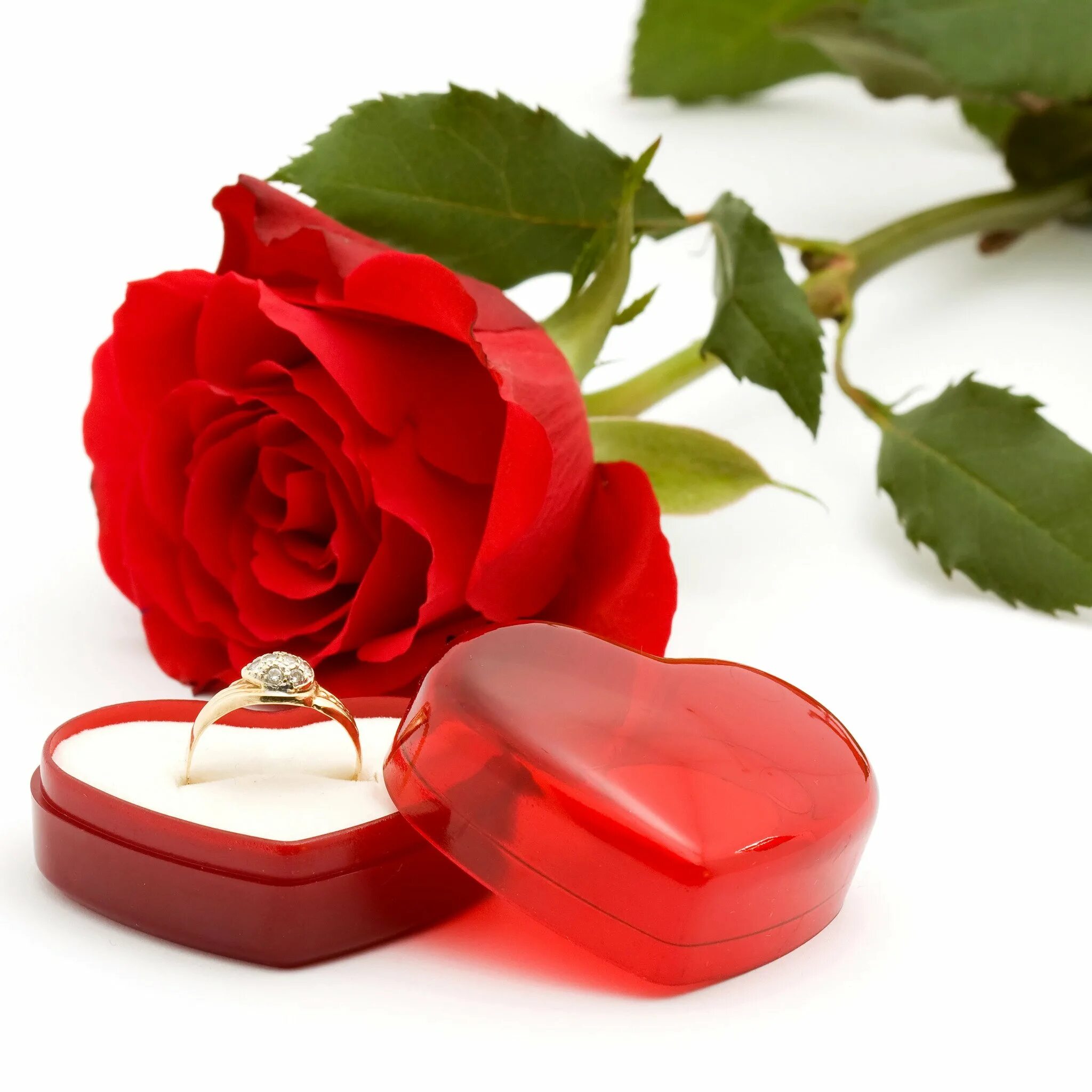 Кольцо для предложения руки и сердца. Подарю колечко подарю сердечко. Кольцо для предложения руки и сердца. Фотосессия предложение руки и сердца. Подарю колечко подарю сердечко.