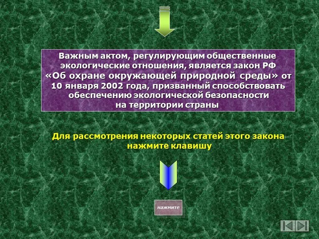 Природоохранным принципом является. Закон об охране окружающей природной среды. Общественные экологические отношения. Экологические законы об охране природных. Закон РФ об охране природной среды 2002 года.