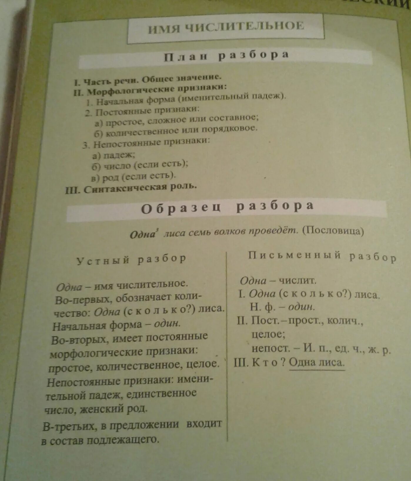 Морфологический анализ числительного 6. Морфологического разбора имени имен числительных. Имя числительное морфологический разбор имени числительного. Морфологический разбор числительные 7 класс. Морфологический разбор количественного имени числительного.