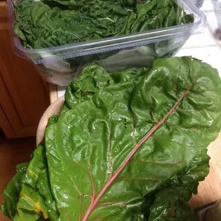 Мангольд польза