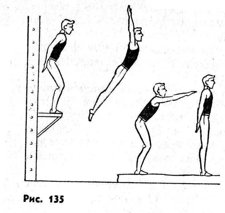 Подводящие упражнения для прыжка в длину. Техника разбега в опорных прыжках. Прыжковые упражнения: прыжки в высоту.. Опорные и неопорные прыжки. Вертикальные прыжки.