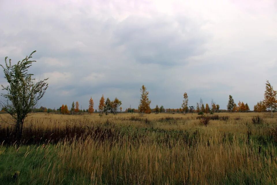 Земли колхозников разграничены от земель собственников. Участок земли. Границы земельного участка. Земельный участок мультяшный. Заброшенные сельскохозяйственные земли.