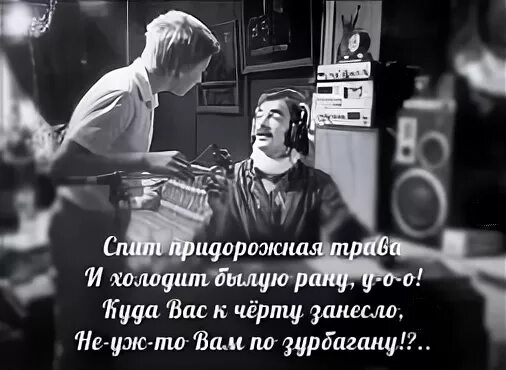 Стихотворение придорожные травы