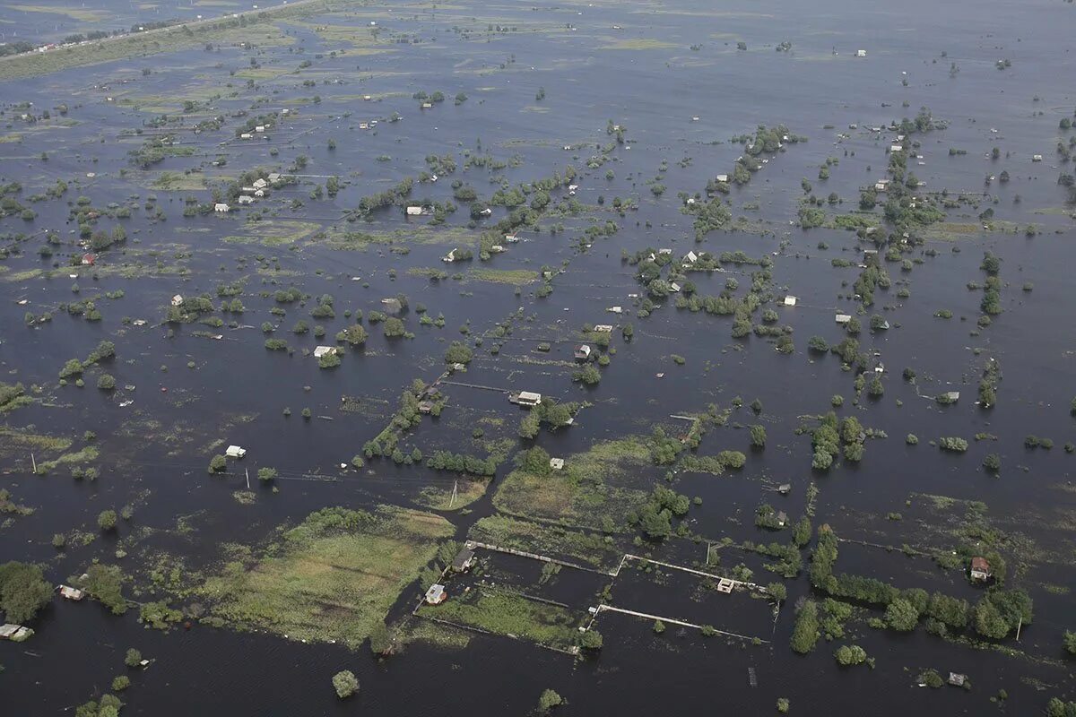 Остров Могильный на Иваньковском водохранилище. Корчева Иваньковское водохранилище. Корчева затопленный. Корчева затопленный город. Остров могильный