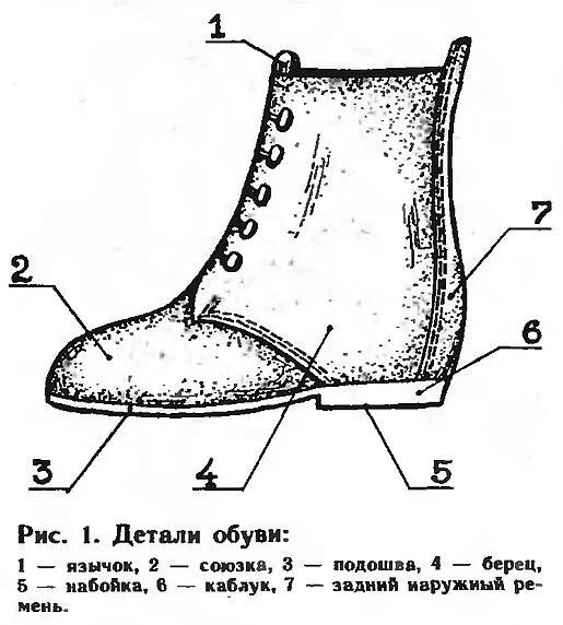 Верхняя часть сапога. Детали обуви. Союзка в обуви. Наружные детали верха обуви. Детали обуви сапог.