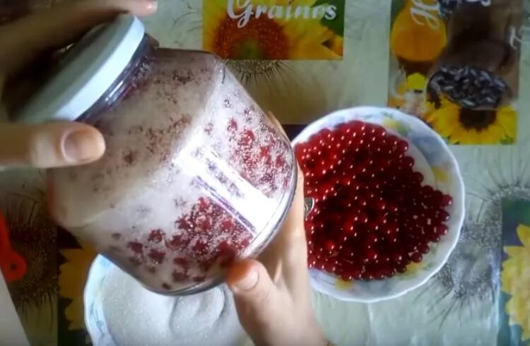 Приготовление калины с сахаром. Калина с сахаром на зиму без варки. варенье из калины с косточками без варки. варенье из калины на зиму без косточек. варенье из калины на зиму с косточками.