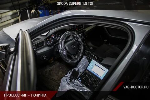 Чип skoda