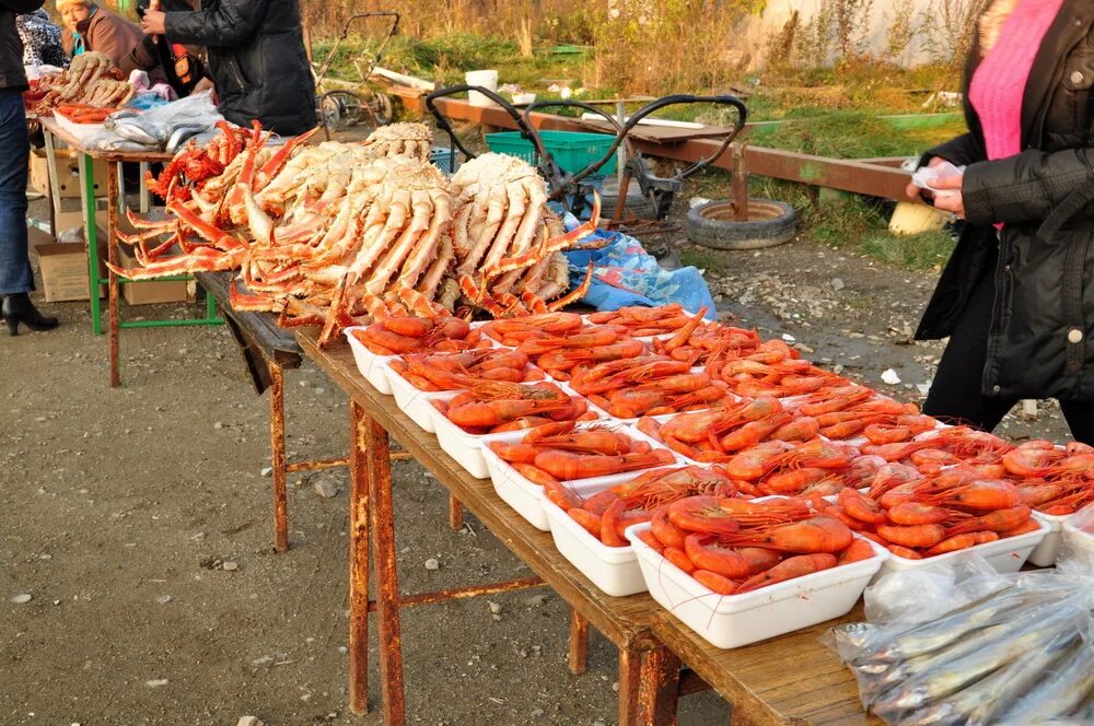 рыбалка камчатка в бухте. рыбалка камчатка в бухте. морская рыбалка на камчатке. рыбалка на камчатке. сероглазка петропавловск камчатский.