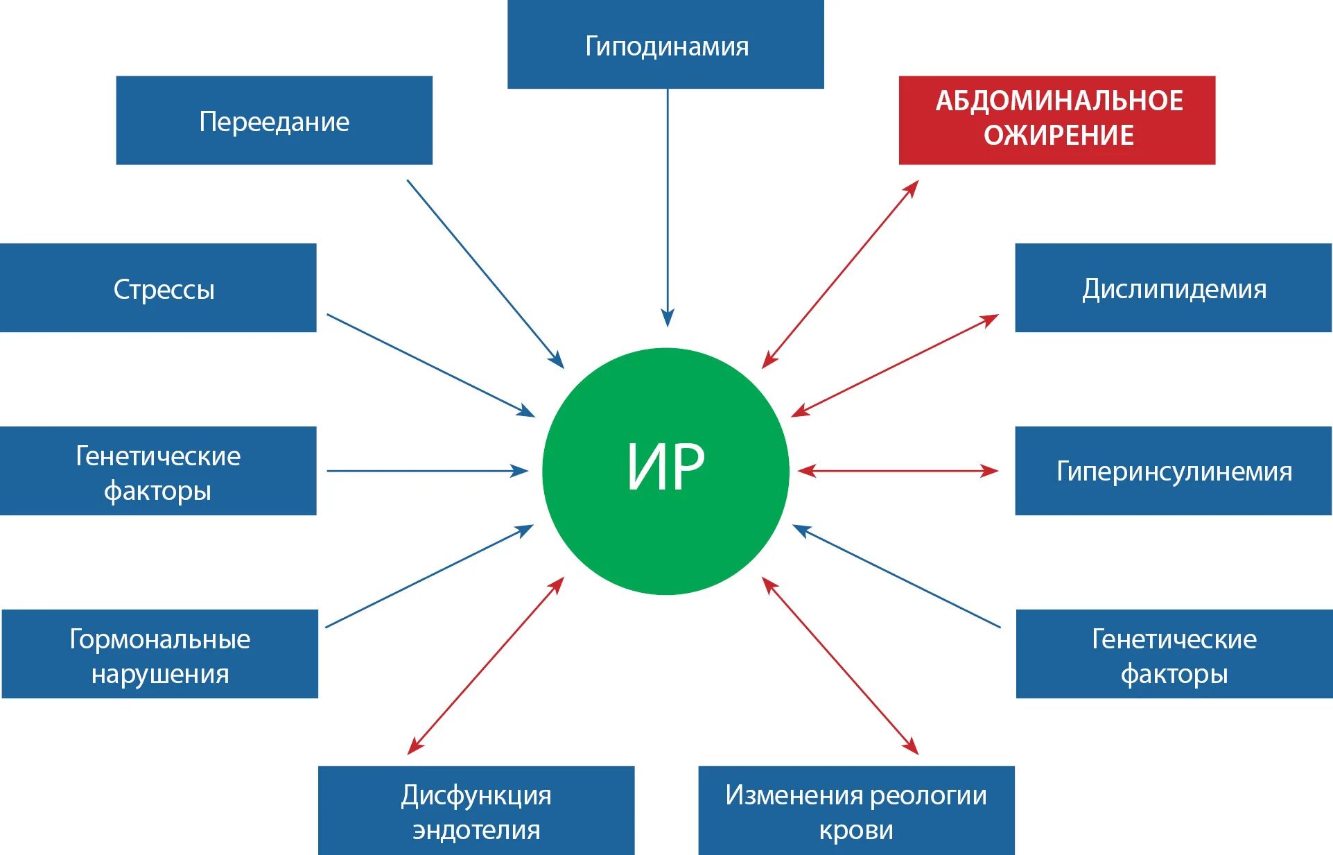 Резистентность крови. Механизм развития инсулинорезистентности. Причины развития инсулинорезистентности. Инсулинорезистентность патогенез инсулинорезистентности. Механизм развития инсулинорезистентности при ожирении.