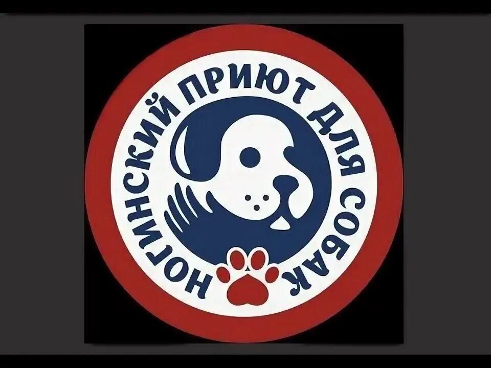 Приют для кошек. Кошачий приют электросталь. Приют электросталь. Кошачий приют в чкаловске. Bcrhfприют эмблема.