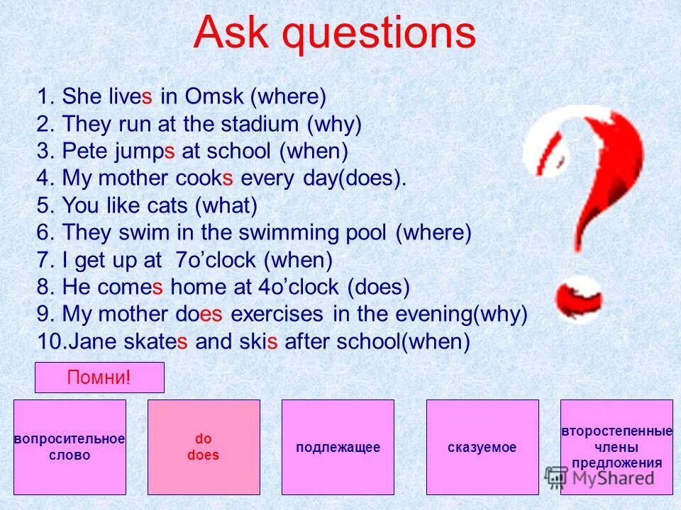 специальные вопросы с do does. вопросы со словом did. предложение со словом done. Do does в вопросительных предложениях. Make ing.