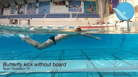 Баттерфляй дельфин