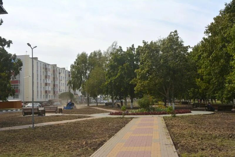 Как выглядит разумное. Как выглядит разумное. Белгород п разумное. Как выглядит разумное. Мкр новая заря белгород.