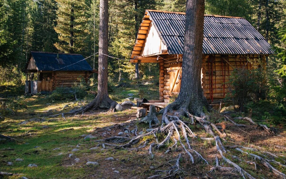кордон шежим печоро илычский заповедник. кордон слова. слово кардон что значит. кордон что это. сталкер кордон деревня новичков.