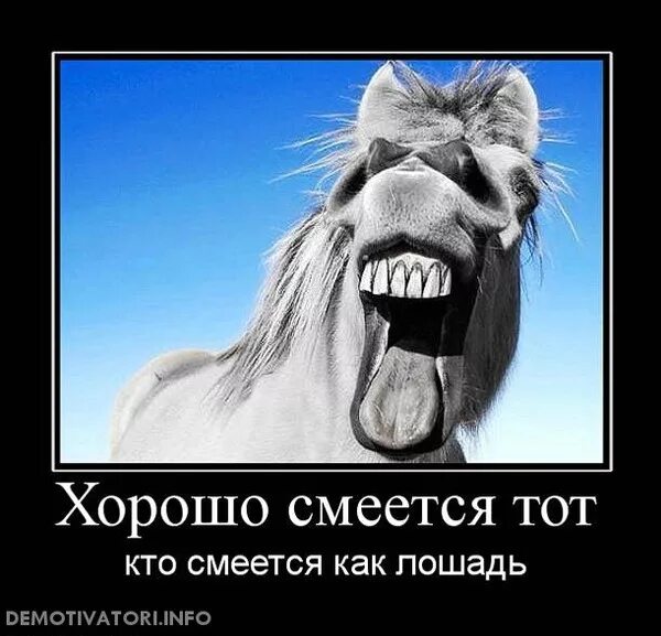 Я смеюсь над всем на свете