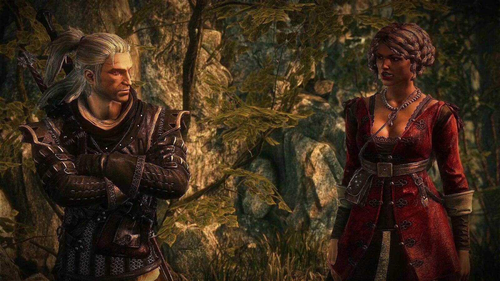 Ведьмак 2 уровни. Эйла тар ведьмак 2. witcher 2 assassins of kings рианнон. the witcher 1 assassins of kings. хорошая концовка ведьмак 2.
