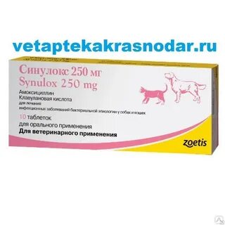 Синулокс 250 мг для собак