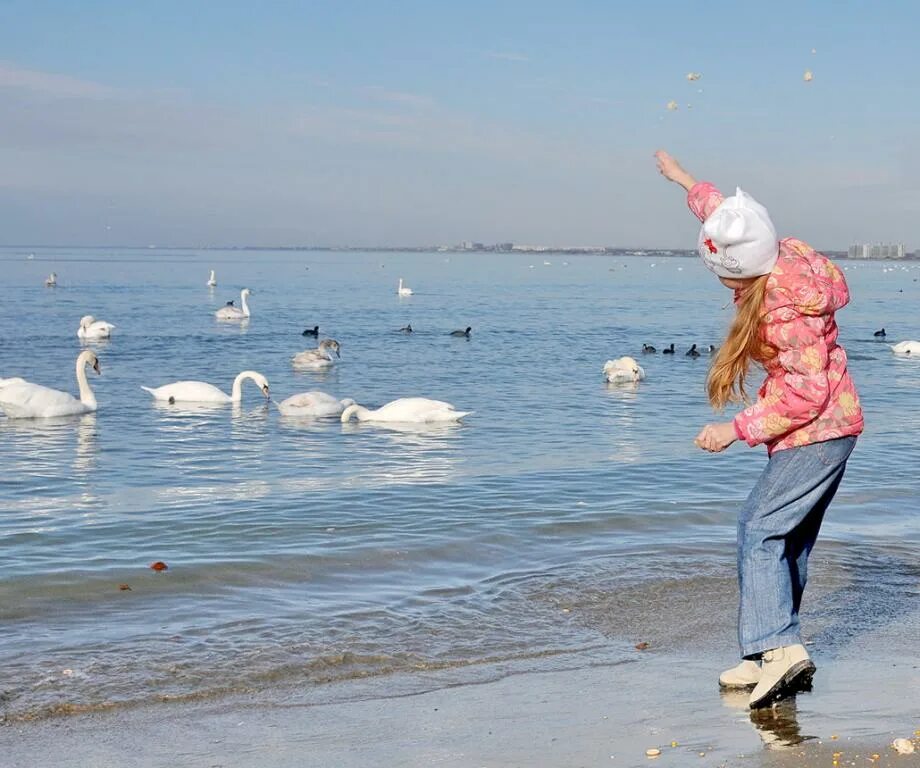 Анапа новогодняя елка 2021. Лаунж зона в анапе на центральном пляже. Анапа город 2020. Новогодняя набережная анапы. Витязево анапа зима.