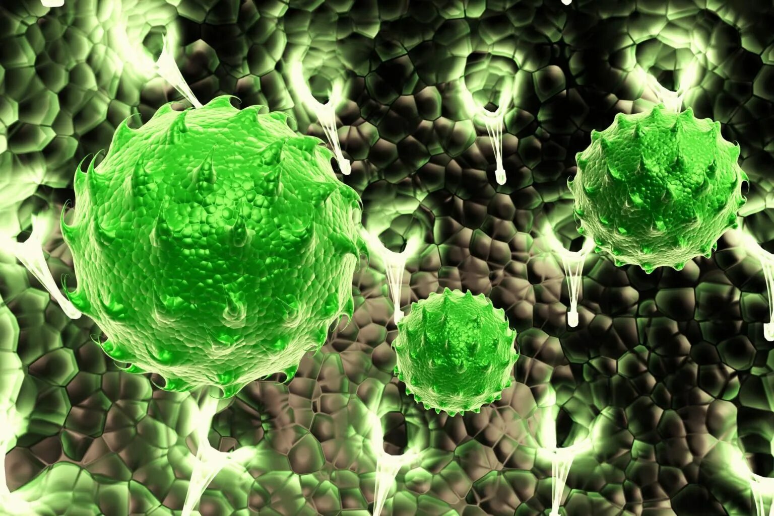 Зеленые бактерии. Зеленые и пурпурные бактерии. Вирус зеленый. Автотрофы под микроскопом.