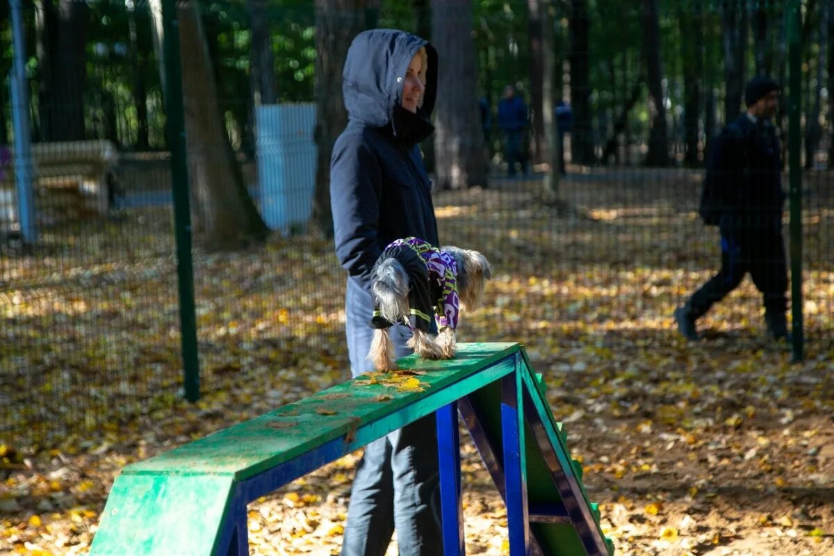 Губайловский. Экопарк Губайловский Красногорск. Экопарк Губайловский площадка. Экопарк Губайловский воркаут. Экопарк Губайловский дом хранителя парка.